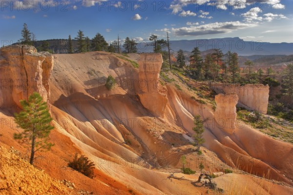 The well-known orange rocks in Bryce canyon in state of Utah USA