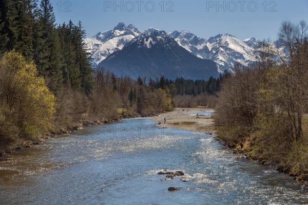 The spring-like Iller with the Oberstdorf Alps in the background in Fischen, Allgäu, Swabia, Bavaria, Germany, Europe