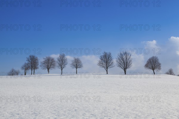 Winter landscape under blue sky