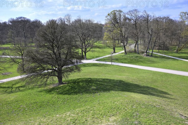 Tree casts shadow on a meadow, view from the Monopteros, English Garden, Munich, Bavaria, Germany, Europe