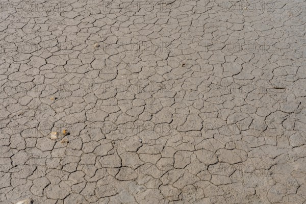 Dry, cracked earth texture reveals the devastating effects of severe drought conditions, highlighting the impact of climate change