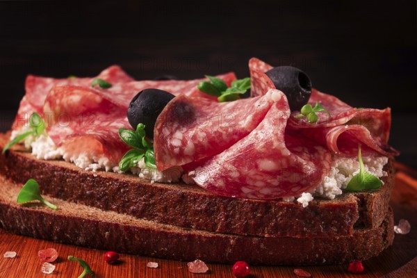 Sandwich, grain bread, with cream cheese and salami, black olives, micro-greens, top view, close-up, no people, Breakfast