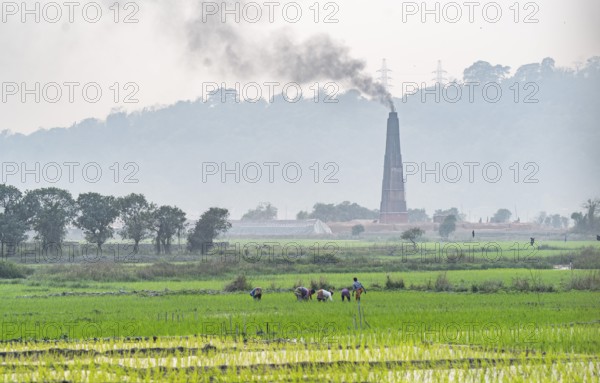 A brick factory chimney smokes as farmers work in an rice agricultural field at Mayong village in Morigaon, India on 6 February 2025