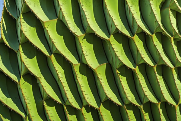 Facade of a building inspired by the skin of a cactus showcasing natural methods of heat regulation and water retention, AI generated