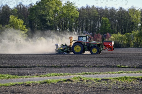 Tractor in a field, dryness, drought, near Achern, Ortenau district, Baden-Württemberg, Germany, Europe