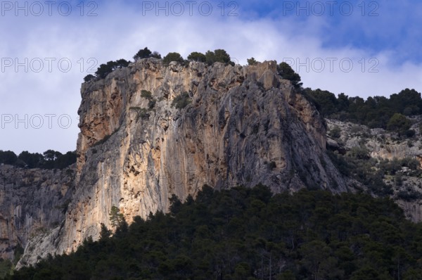 Castle ruins of Castell d'Alaró on a mountain of the Tramuntana mountains, Serra de Tramuntana, Alaró, Calvià, Majorca, Balearic Islands, Balearic Islands, Spain, Europe