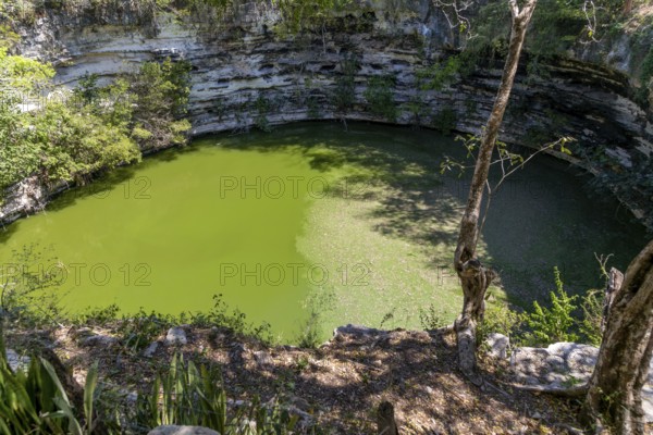 Sacred Cenote, Chichen Itzá, Mayan ruins, Yucatan, Mexico, Central America