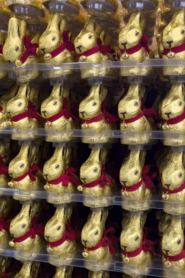 Display on retail shelf of wholesale chocolate Easter bunnies chocolate Easter bunnies chocolate Easter bunnies wrapped in gold-coloured tin foil, Germany, Europe