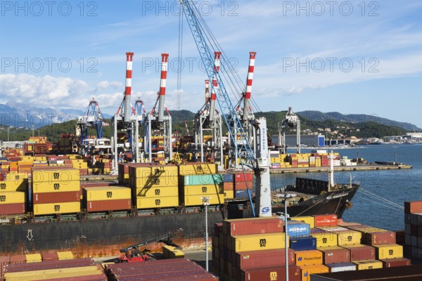 High angle view of stacked MSC, TEX and NileDutch metal box shipping containers loaded onto MSC Renaissance III cargo ship in La Spezia cargo Port, Italy, Europe