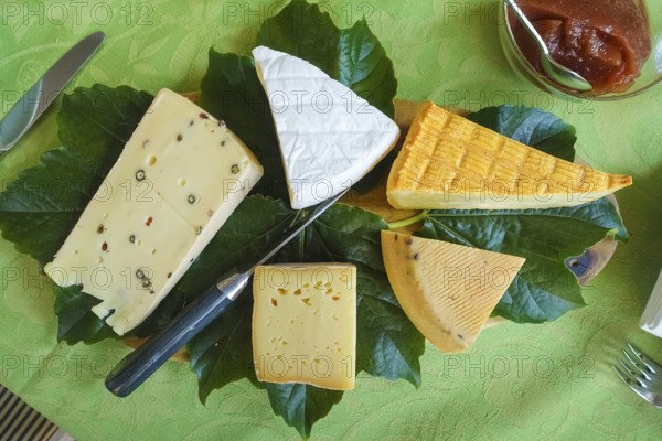Cheese platter with different types of cheese, hard cheese arranged on vine leaves, knife, vegetarian, food, breakfast table, brunch, table setting, food, studio, Germany, Europe