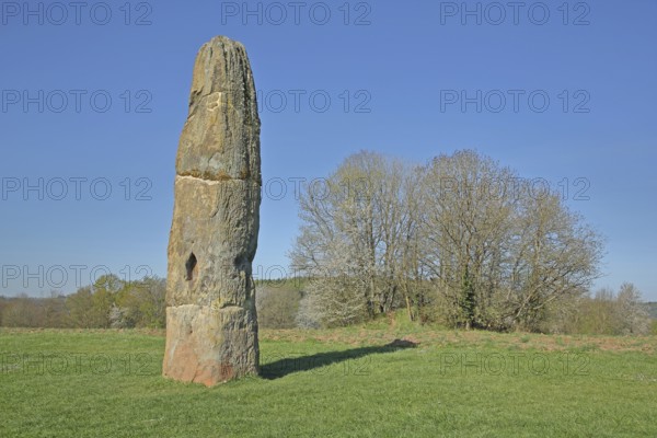 Menhir and cultural monument from the Neolithic period approx. 4000 years old and 6.5 metres high, monolith, menhir, rock formation, boulder, stone block, sandstone, Stone Age, cult site, cult place, landmark, landscape, spring, Bliessteig, hiking trail, nature photography, Gollenstein, Blieskastel, Bliesgau, Saarland, Germany, Europe
