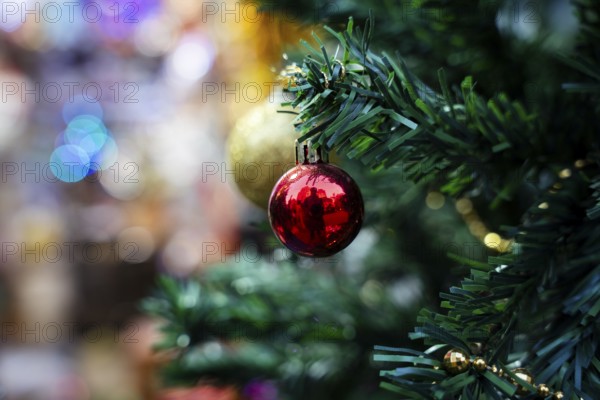 Christmas decoration items displayed for sell at a stall, ahead of Christmas on December 22, 2024 in Guwahati, India. Christmas is a festive holiday celebrated on December 25th, marking the birth of Jesus Christ in Christian tradition.
