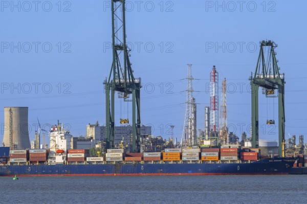Gantry cranes and stacked containers on container ship docked at container terminal in the port of Antwerp seaport, harbour, Flanders, Belgium, Europe