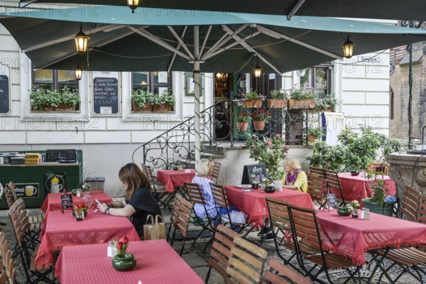 Restaurant zum Paddenwirt, beer garden, Old Town, Nikolaikirchplatz, Nikolaiviertel, Mitte, Berlin, Germany, Europe