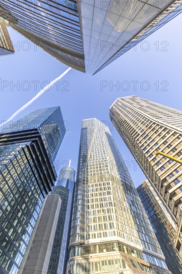 Look up in the morning in the middle of the skyline. Tower blocks and modern glass fronts at sunrise. Nice overview of the skyscrapers and their surroundings. Frankfurt am Main, Hesse, Germany, Europe