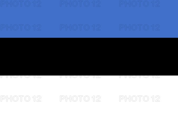 Flag of Estonia, Vector illustration