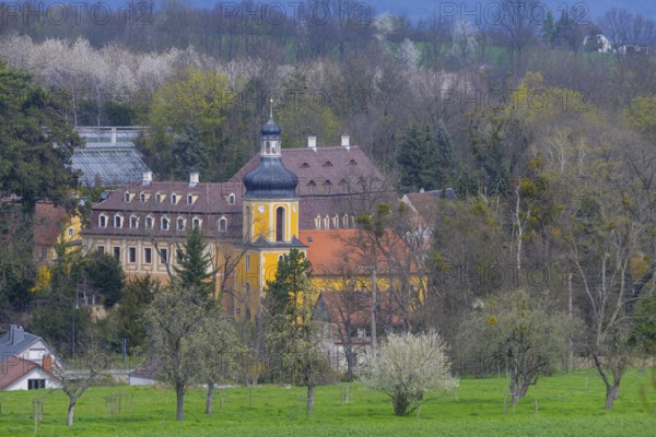 Zuschendorf Castle in spring, Zuschendorf, Saxony, Germany, Europe