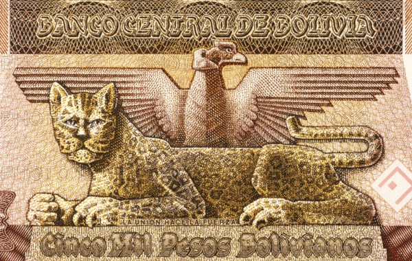 Condor and Leopard on 5000 Bolivianos 1984 Banknote from Bolivia