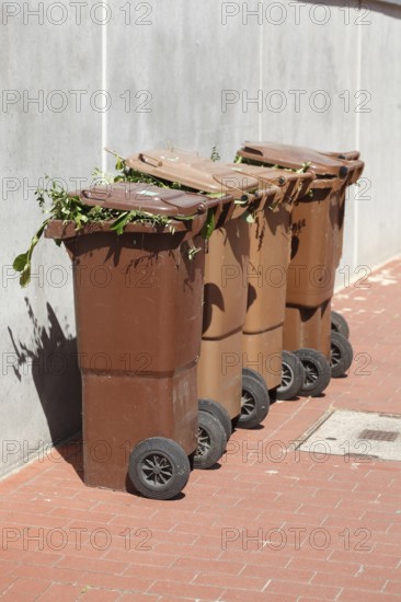Organic bins, waste bins, Germany, Europe
