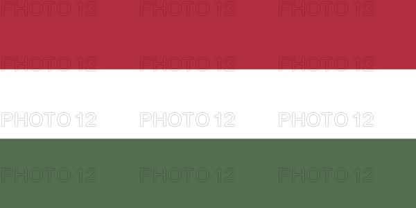 Flag of Hungary, Vector illustration