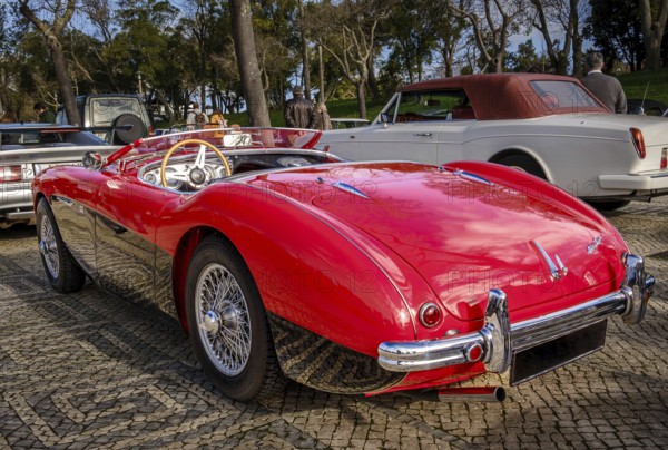 Lisbon, Portugal, Jan 20, 2024: Rear view of two-tone Reno red and black Austin-Healey 100 vintage convertible sports car parked on cobblestone pavement road. Red velvet and leather, wooden steering wheel, fold-down windshield, Europe