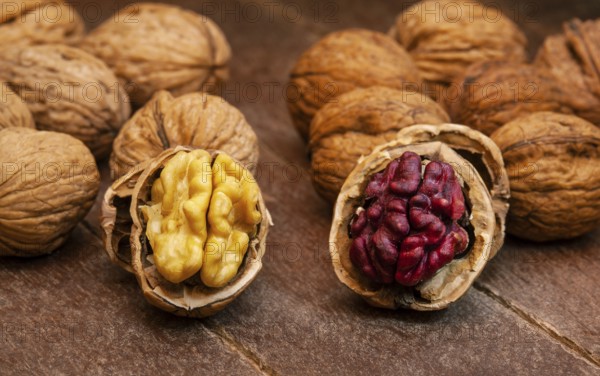 Red Danube and Juglans regia walnuts on wooden background, comparison concept. It originated from a cross between English and Persian walnut trees
