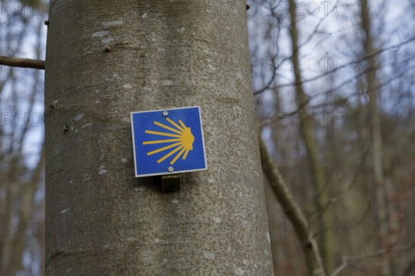Way of St James, hiking, Kochersteig, Geislingen, Braunsbach-Geislingen, Nordic walking, Kocher valley, Kocher, trekking, pilgrimage, Hohenlohe, Germany, Europe