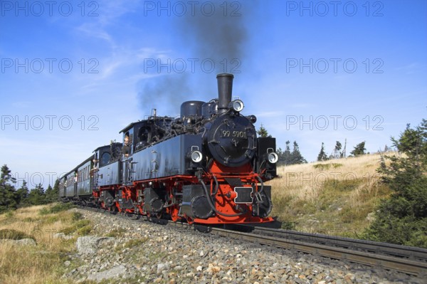 HSB, Harz narrow-gauge railway, locomotive, steam engine, smoke, HSB railway, Brockenbahn, Harz, transport, traffic, railway
