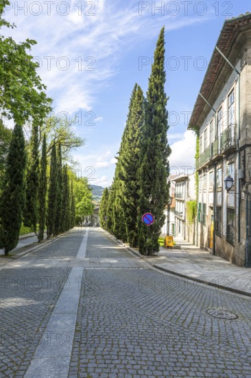 Historic buildings cypress trees street, Largo Martins Sarmento, city of Guimaraes, northern Portugal