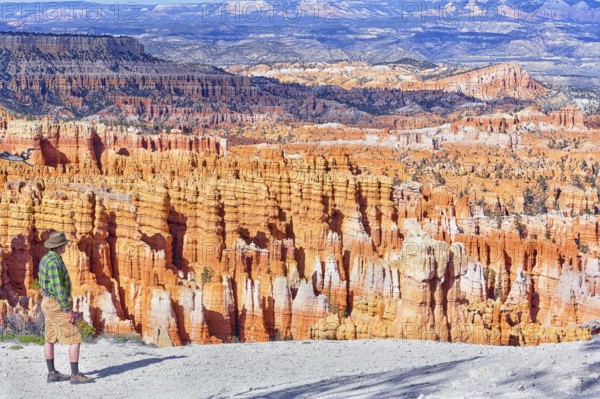 Man contemplating landscape, Bryce Canyon, Bryce Canyon National Park, Utah, USA, North America