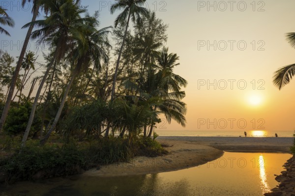 Sandy beach beach with coconut palms, Ao Phrao Beach, sunset, Koh Kood, Koh Kut, Gulf of Thailand, Thailand, Asia