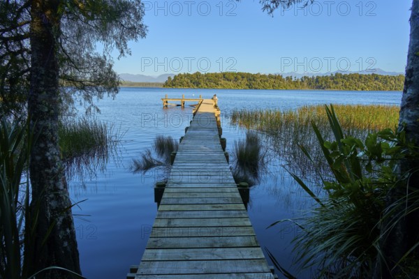 A wooden footbridge leads from a wooded shore into a calm lake, Lake Mahinapua, Ruatapu, South Island, New Zealand, Oceania