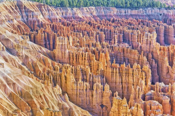 Bryce Canyon, Bryce Canyon National Park, Utah, USA, North America