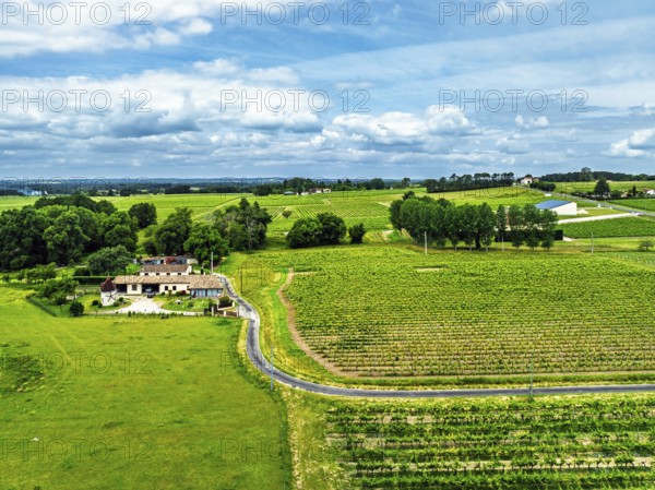 Vineyards and grape fields around Bordeaux from a drone, Saint-Mariens, Gironde, Nouvelle-Aquitaine, France, Europe