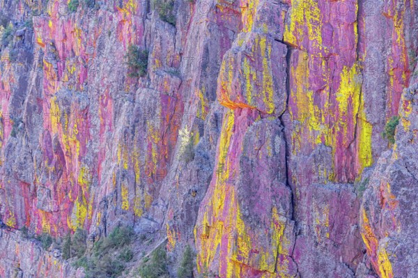 Multicoloured canyon wall, Coconino National Forest, Arizona, USA, North America