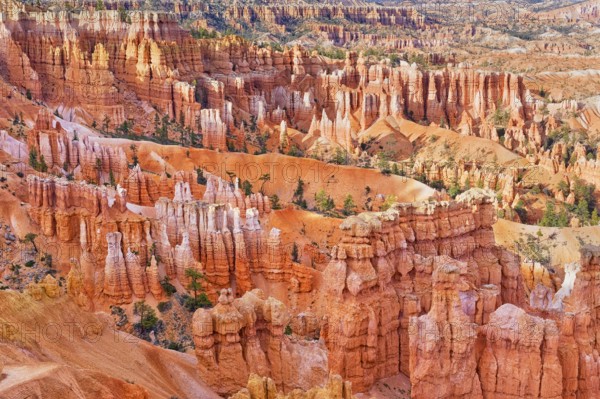 Bryce Canyon, Bryce Canyon National Park, Utah, USA, North America