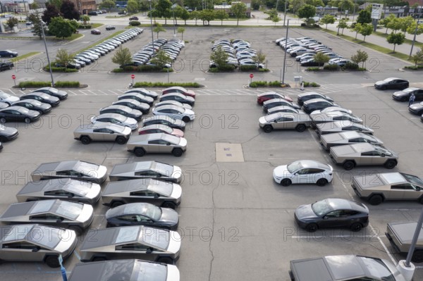 Farmington Hills, Michigan USA - 30 May 2025 - Many dozens of unsold Tesla electric vehicles, including Cybertrucks, are stored in the parking lot of a closed shopping center in suburban Detroit. Tesla sales have fallen in 2025, at least partly in response to CEO Elon Musk's political activity in the Trump Administration