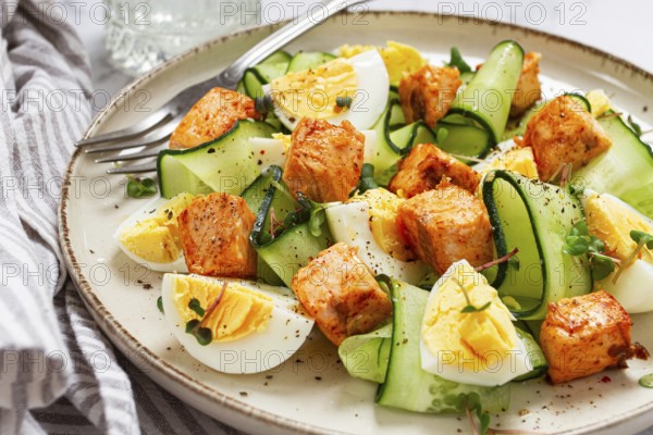 Delicious salmon and egg salad served on a plate with fresh cucumber and herbs for a healthy meal at lunchtime