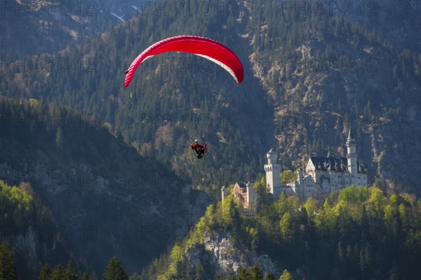 A red paraglider hovers over Neuschwanstein Castle in the mountains, Schwangau near Füssen, Ostallgäu district, Swabia, Bavaria, Germany, Europe