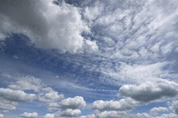 Fair weather clouds (Cumulus humilis), Bavaria, Germany, Europe