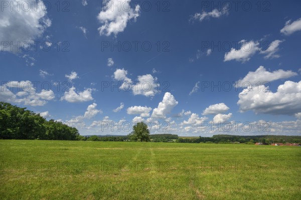 Franconian landscape with cloudy sky, Neunhof, Middle Franconia, Bavaria, Germany, Europe
