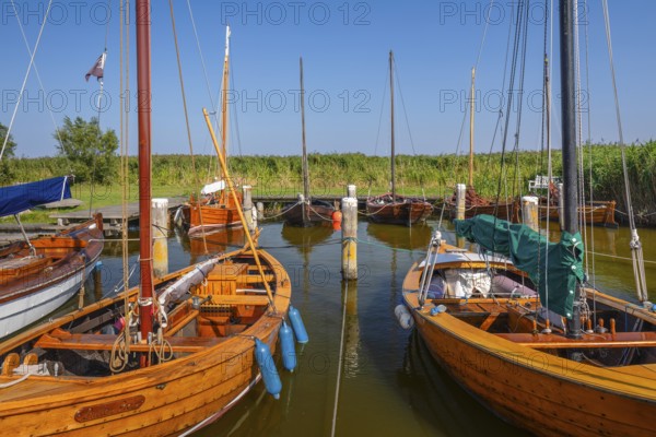 Harbour of Althagen, Ahrenshoop, Fisch-Darß-Zingst peninsula, Mecklenburg-Western Pomerania, Germany, Wustrow, Mecklenburg-Western Pomerania, Germany, Europe
