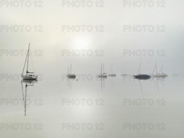 Sailboats in the fog on Lake Starnberg, Bavaria, Germany, Europe