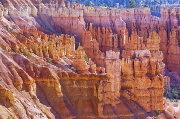 Bryce Canyon, Bryce Canyon National Park, Utah, USA, North America