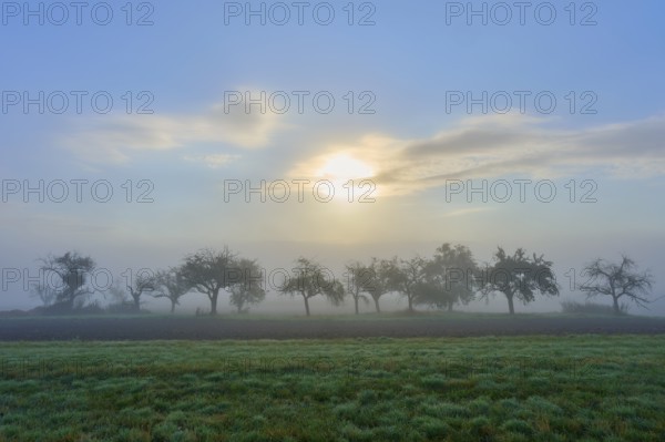 Foggy landscape with sunrise and Mönchberg, Miltenberg, Spessart, Bavaria, Germany, Europe