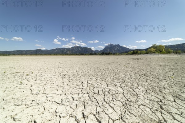 Cracked, dried out ground, waterless Forggensee in spring, behind it Tegelberg massif and Säuling, Ammergau Alps, near Füssen, Ostallgäu, Bavaria, Germany, Europe