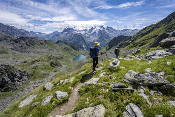 Mountaineer on hiking trail in mountain landscape, descent at Col du Louvie, view of mountain lake Lac du Louvie and glaciated mountain peaks of the Grand Combine, Valais Alps, Val de Bagnes, Valais, Switzerland, Europe