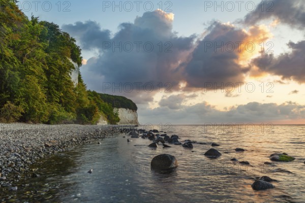 Chalk cliffs in Jasmund National Park, Sassnitz, Rügen, Mecklenburg-Western Pomerania, Germany, Sassnitz, Mecklenburg-Western Pomerania, Germany, Europe