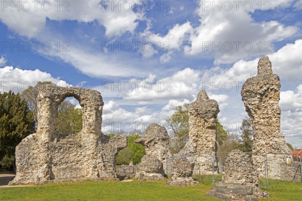 Ruins, St Edmund's Abbey, Bury St Edmunds, West Suffolk, England, Great Britain