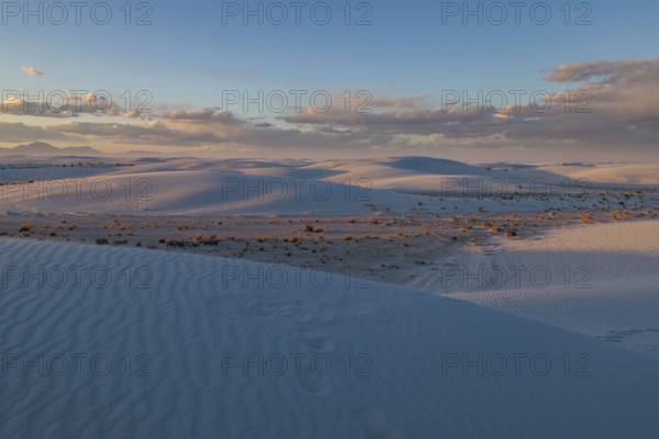 Smooth curved sand dunes in evening light at White Sands National Park in Alamogordo, New Mexico, USA, North America